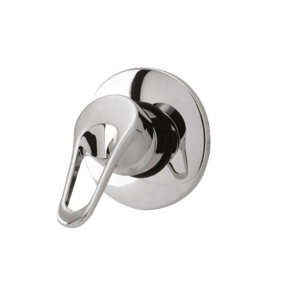 Concealed Or Exposed Shower Valve