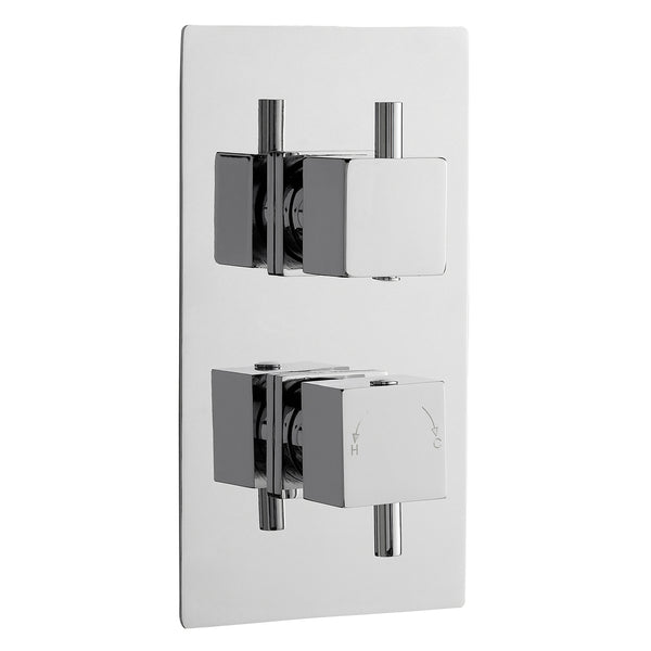 Twin Thermostatic Shower Valve
