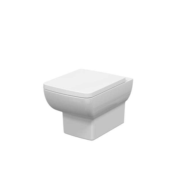 Wall Hung Pan